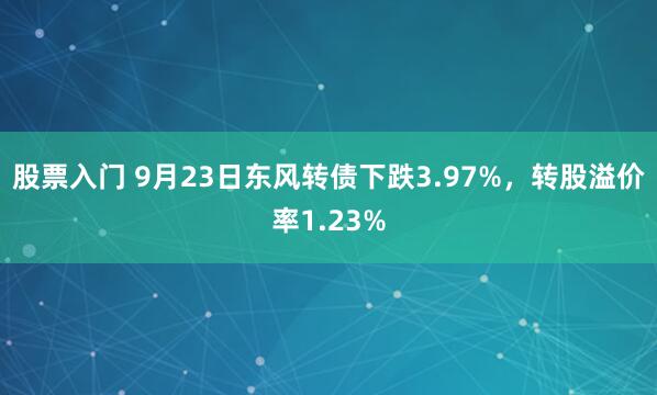 股票入门 9月23日东风转债下跌3.97%，转股溢价率1.23%