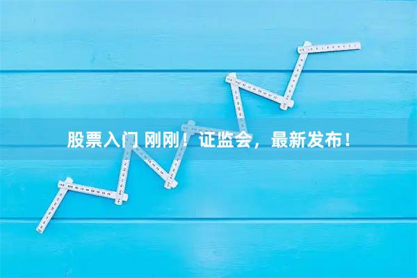 股票入门 刚刚！证监会，最新发布！