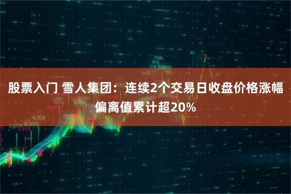 股票入门 雪人集团：连续2个交易日收盘价格涨幅偏离值累计超20%
