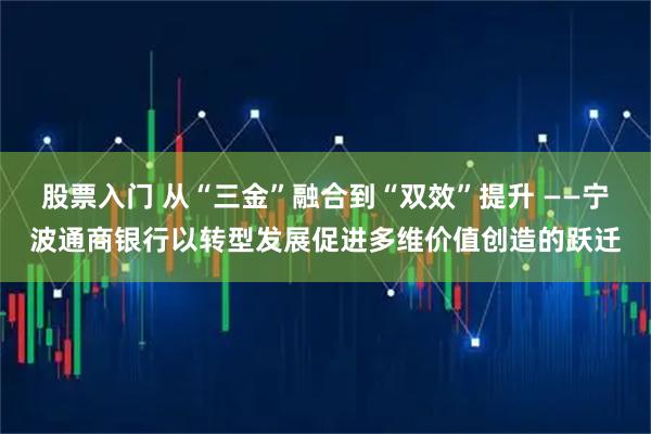 股票入门 从“三金”融合到“双效”提升 ——宁波通商银行以转型发展促进多维价值创造的跃迁