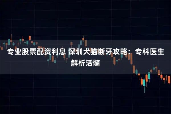 专业股票配资利息 深圳犬猫断牙攻略：专科医生解析活髓